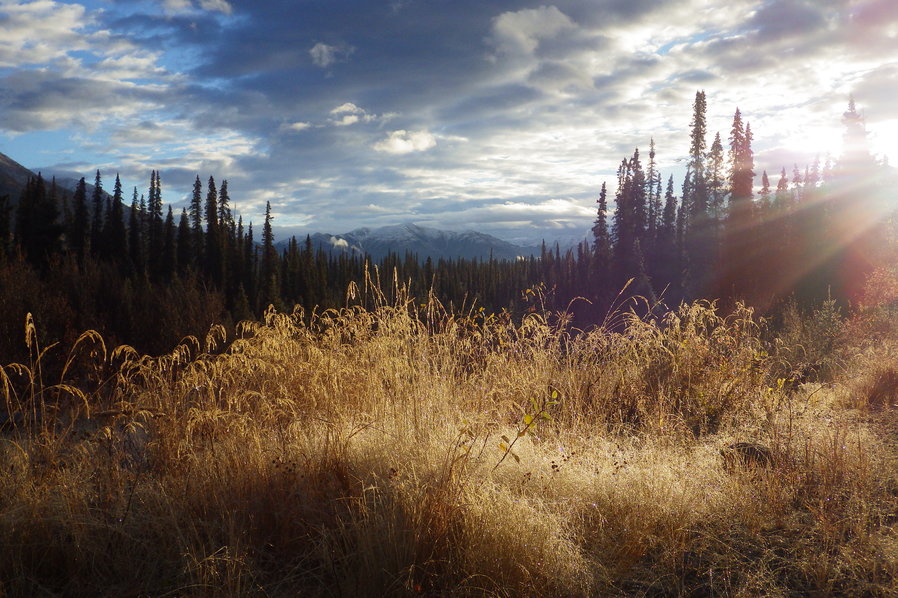 Kim Pasche Alaska Kanada Wildnis Natur