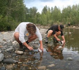 Lachse angeln am Russian River bei Talkeenta in Alaska