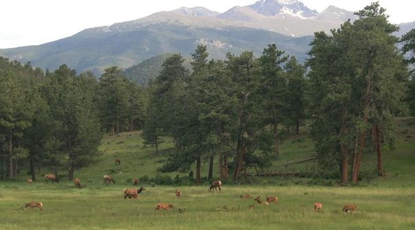 Der Rocky Mountains Nationalpark